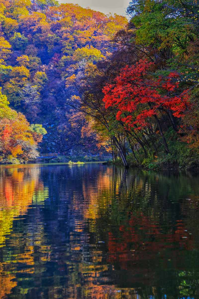 摄影张献武秋，染山水忆烽烟-斑斓的秋叶似染着先烈们的热血，平静的湖水曾映照过他们坚毅的身影。.jpg